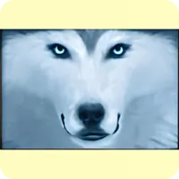 Le Loup tête